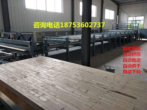 國(guó)豪全自動(dòng)拼板機(jī)  日產(chǎn)500張 速度快 拼板效果好 一分鐘一張板