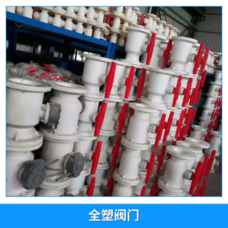 全塑閥門圖片/全塑閥門樣板圖 (3)