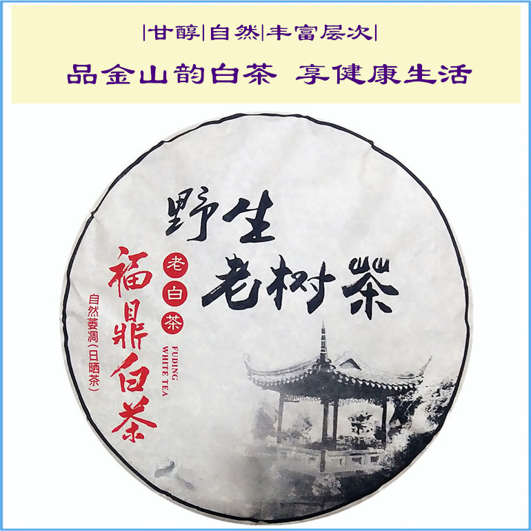 福鼎老樹白茶圖片