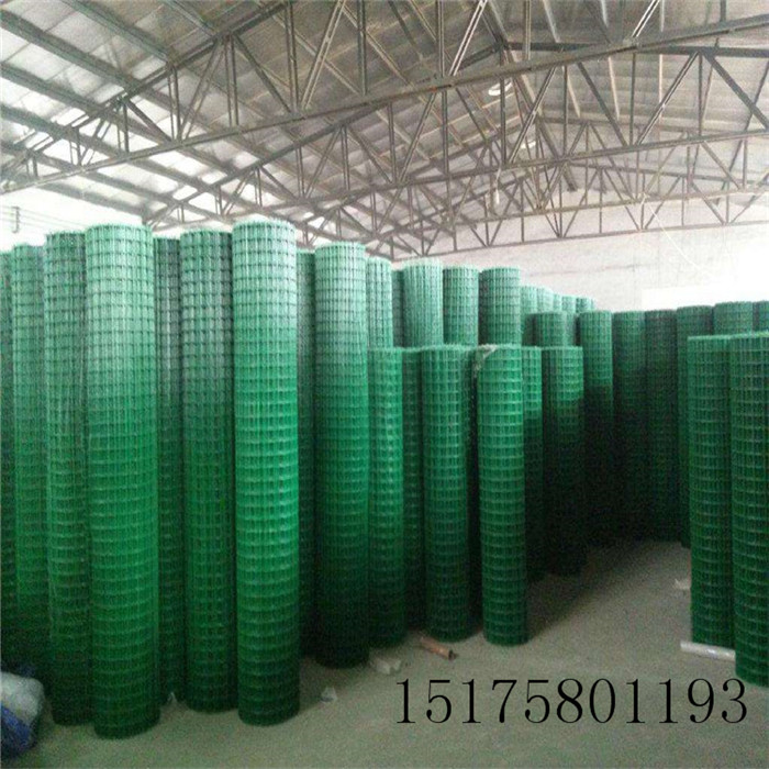 荷蘭網(wǎng)圖片/荷蘭網(wǎng)樣板圖 (2)