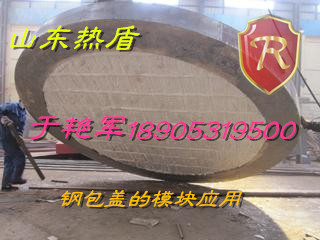硅酸鋁纖維模塊圖片/硅酸鋁纖維模塊樣板圖 (4)