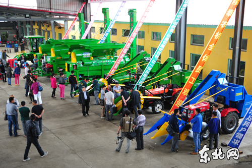 烏克蘭圖片/烏克蘭樣板圖 (3)