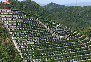 陵園管理系統(tǒng)圖片/陵園管理系統(tǒng)樣板圖 (1)