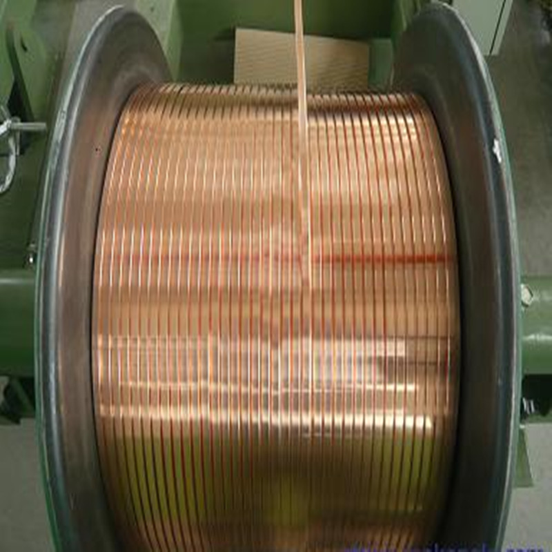 精密紫銅壓扁線(xiàn)圖片/精密紫銅壓扁線(xiàn)樣板圖 (4)