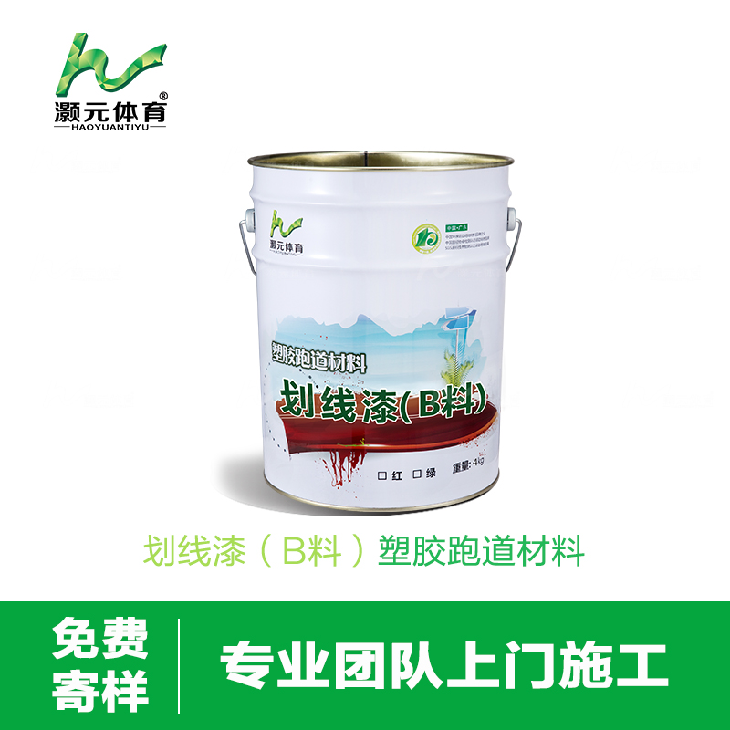 塑膠跑道圖片/塑膠跑道樣板圖 (4)