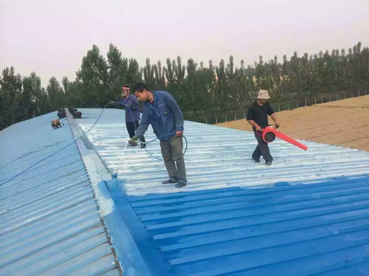 承接湖州、嘉興、安吉、富陽(yáng)、義務(wù)、永嘉、麗水、臨海、奉化、寧波、慈溪等地彩鋼瓦除銹翻新