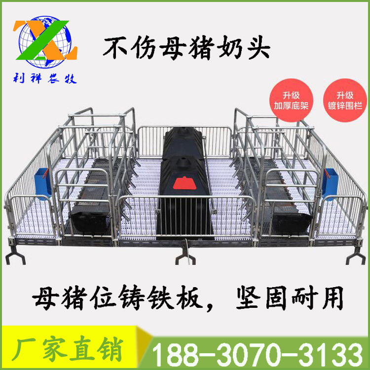 母豬產(chǎn)床廠家 母豬產(chǎn)床廠家直銷圖片