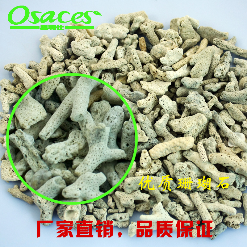 錦鯉過濾圖片/錦鯉過濾樣板圖 (1)