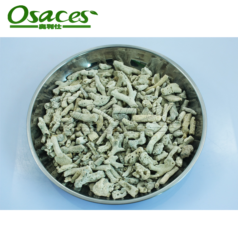 錦鯉過濾圖片/錦鯉過濾樣板圖 (2)