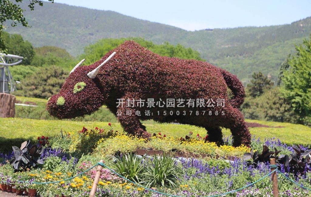 立體花壇設計 五色草造型圖片