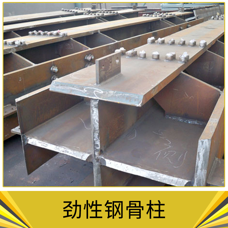 勁性鋼骨柱圖片/勁性鋼骨柱樣板圖 (3)