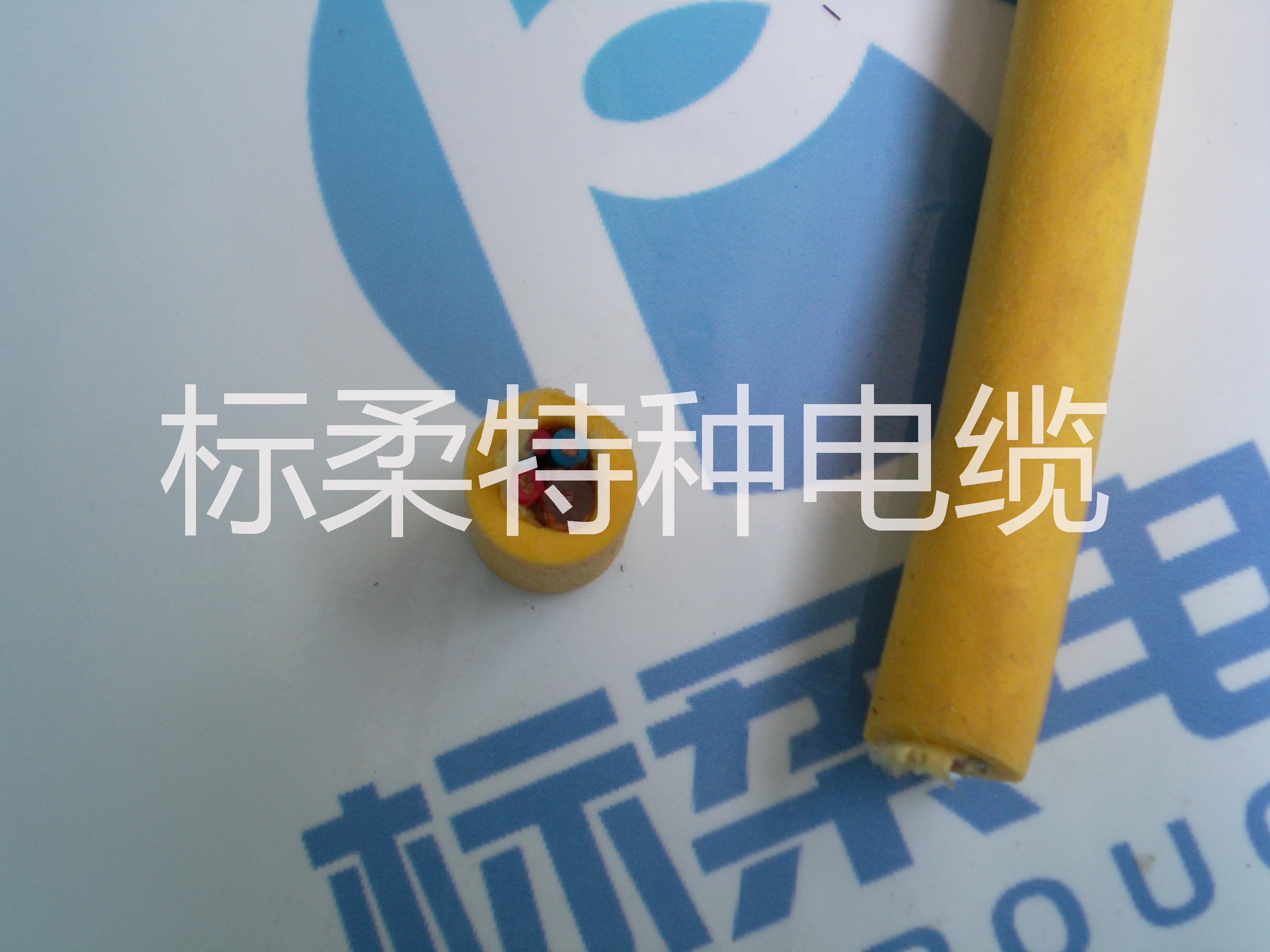水密電纜圖片/水密電纜樣板圖 (3)