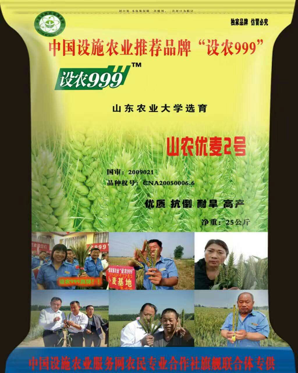 抗旱圖片/抗旱樣板圖 (4)