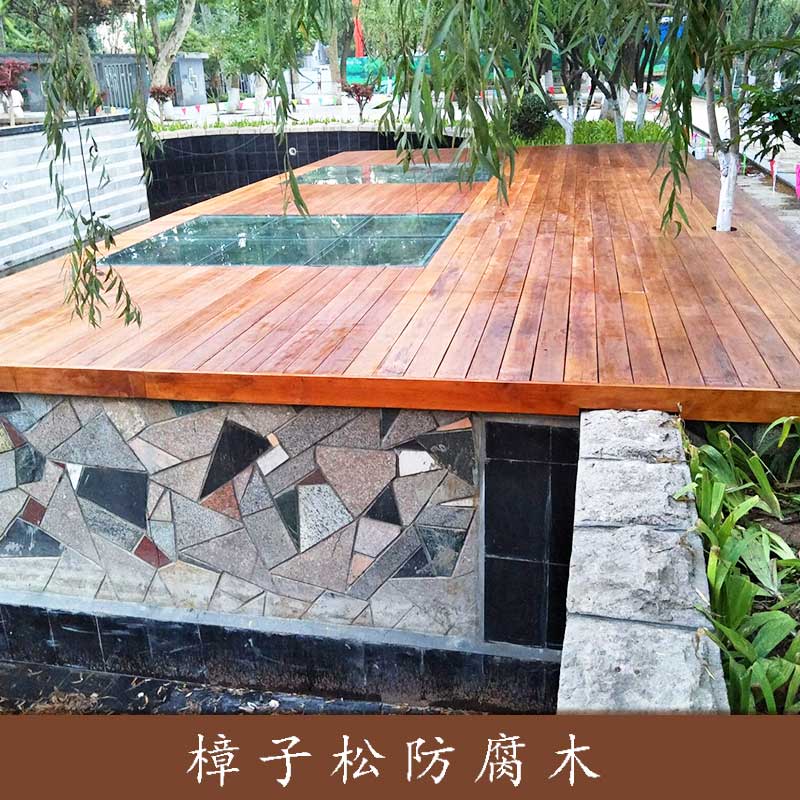 樟子松圖片/樟子松樣板圖 (2)