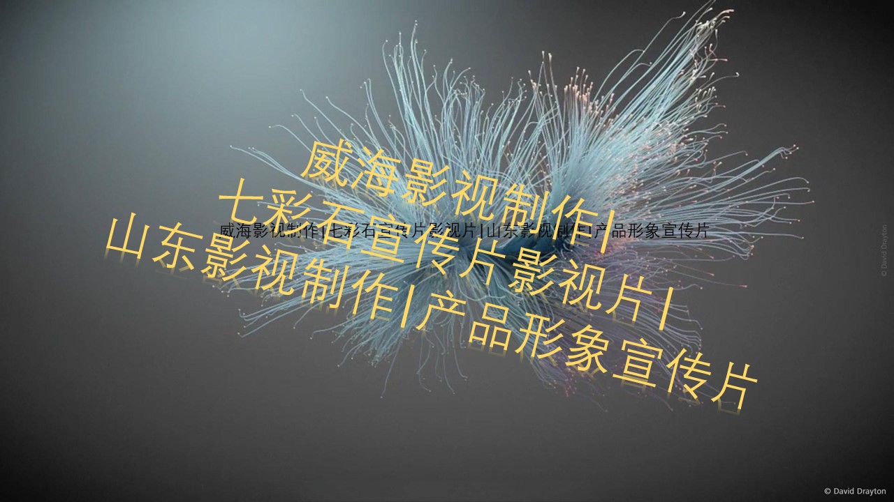 威海產(chǎn)品拍攝 威海漁具拍攝圖片/威海產(chǎn)品拍攝 威海漁具拍攝樣板圖 (4)