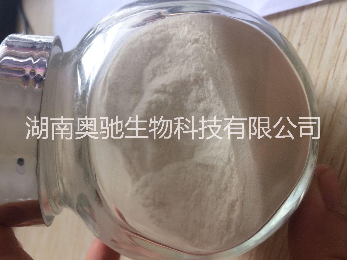 果膠圖片/果膠樣板圖 (2)