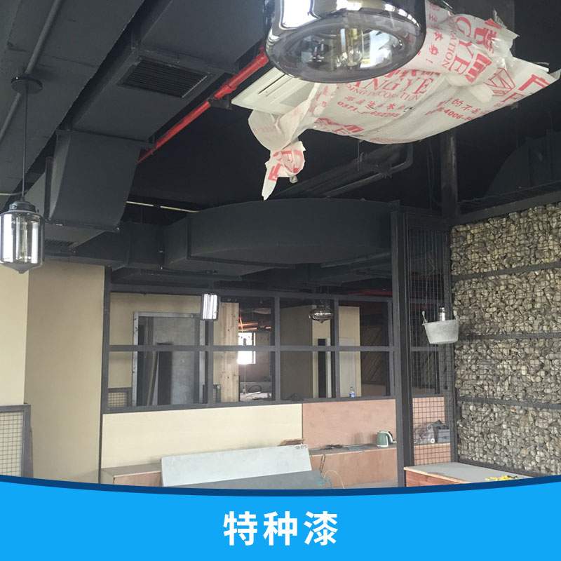 特種漆圖片/特種漆樣板圖 (2)