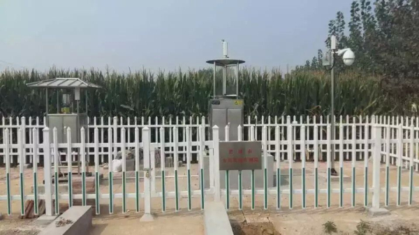 蟲情測報圖片/蟲情測報樣板圖 (2)