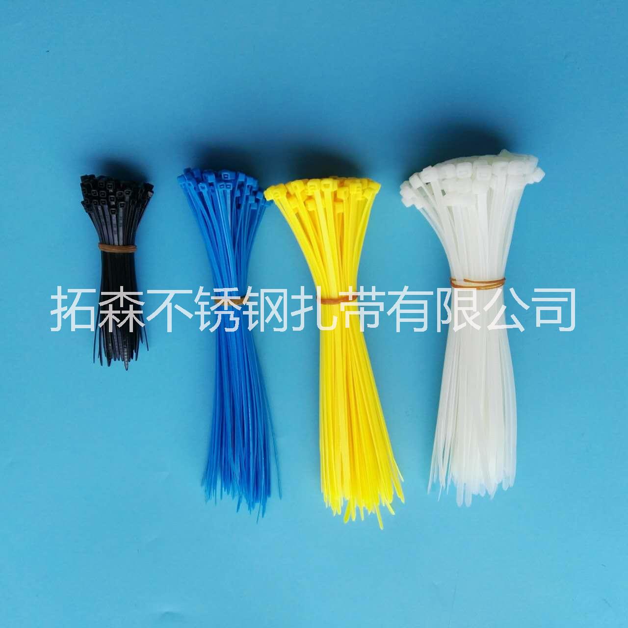 廠家直銷不銹鋼扎帶 尼龍扎帶 電纜接頭 膨脹管量大從優(yōu)