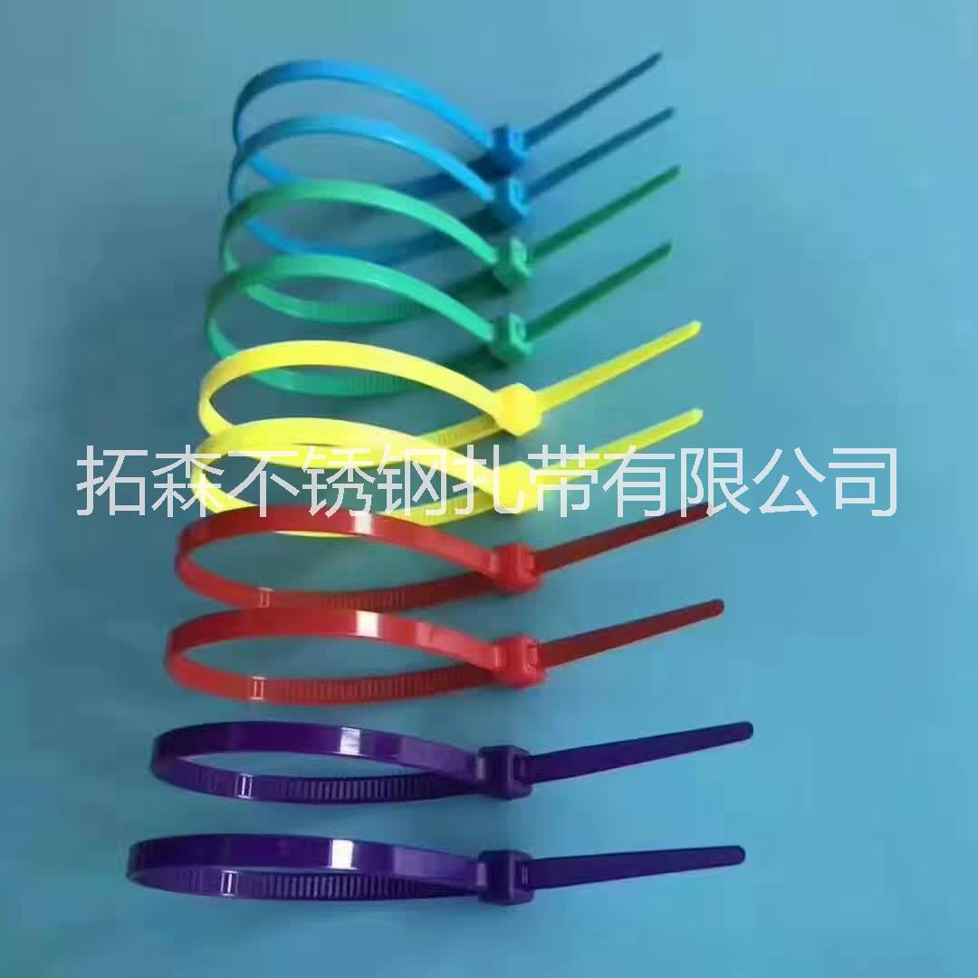 尼龍?jiān)鷰D片/尼龍?jiān)鷰影鍒D (4)
