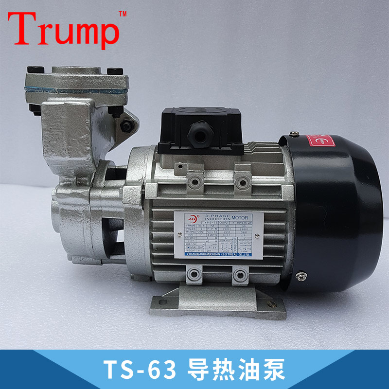 導(dǎo)熱油泵圖片/導(dǎo)熱油泵樣板圖 (3)