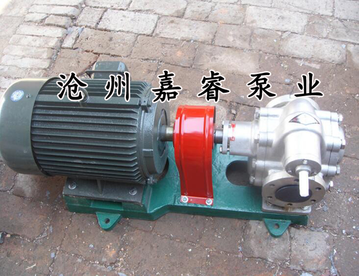 不銹鋼齒輪油泵圖片/不銹鋼齒輪油泵樣板圖 (2)