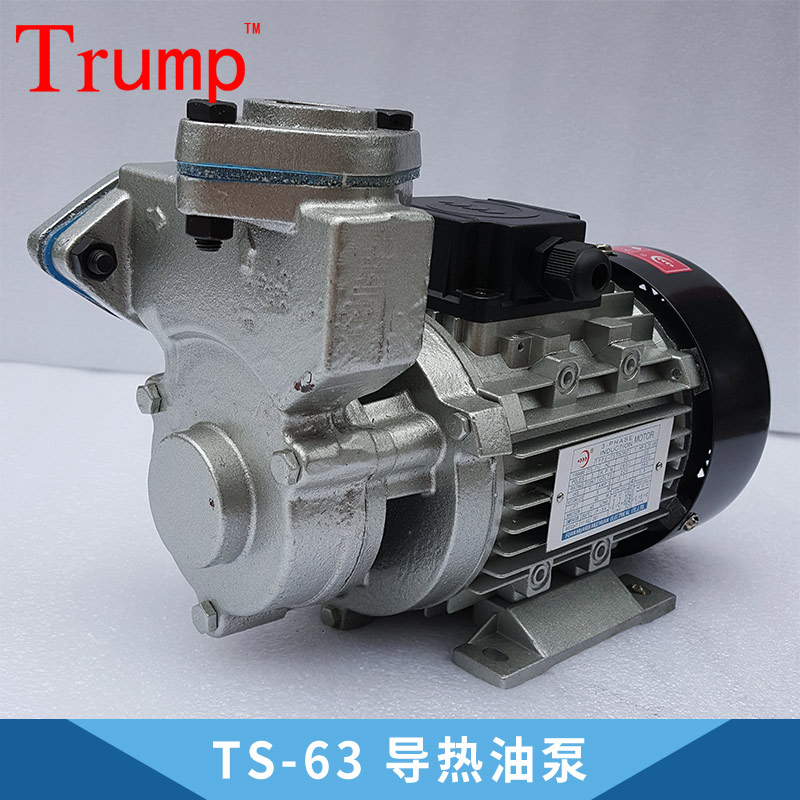 導(dǎo)熱油泵圖片/導(dǎo)熱油泵樣板圖 (2)