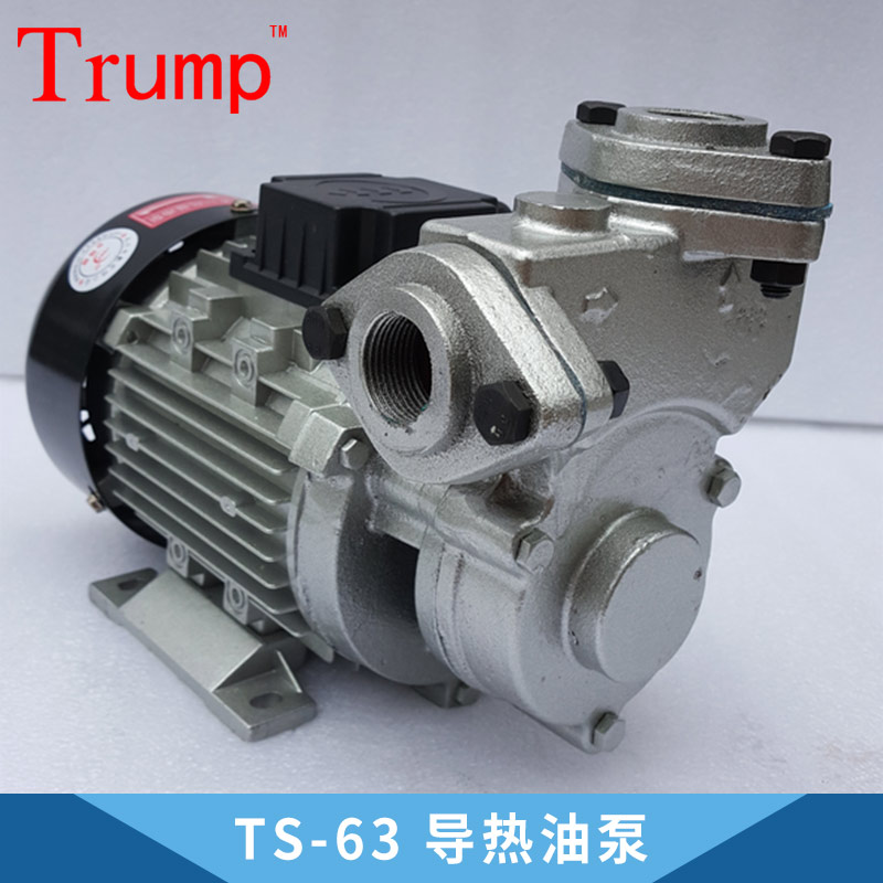 導(dǎo)熱油泵圖片/導(dǎo)熱油泵樣板圖 (4)