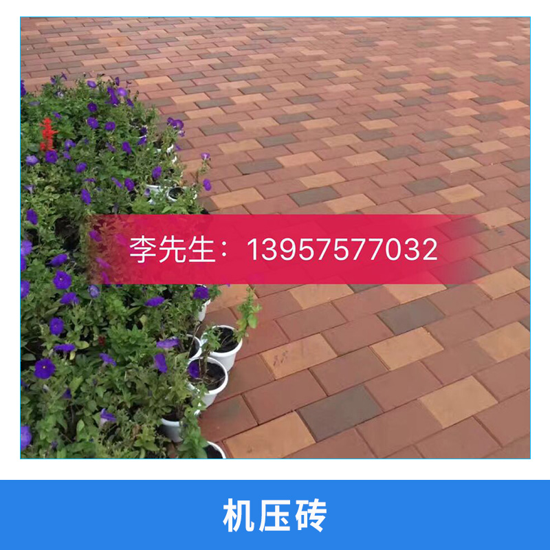 許昌燒結(jié)磚圖片/許昌燒結(jié)磚樣板圖 (3)