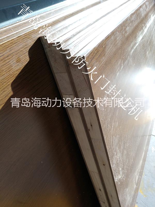 T型口子母門封邊機(jī)圖片