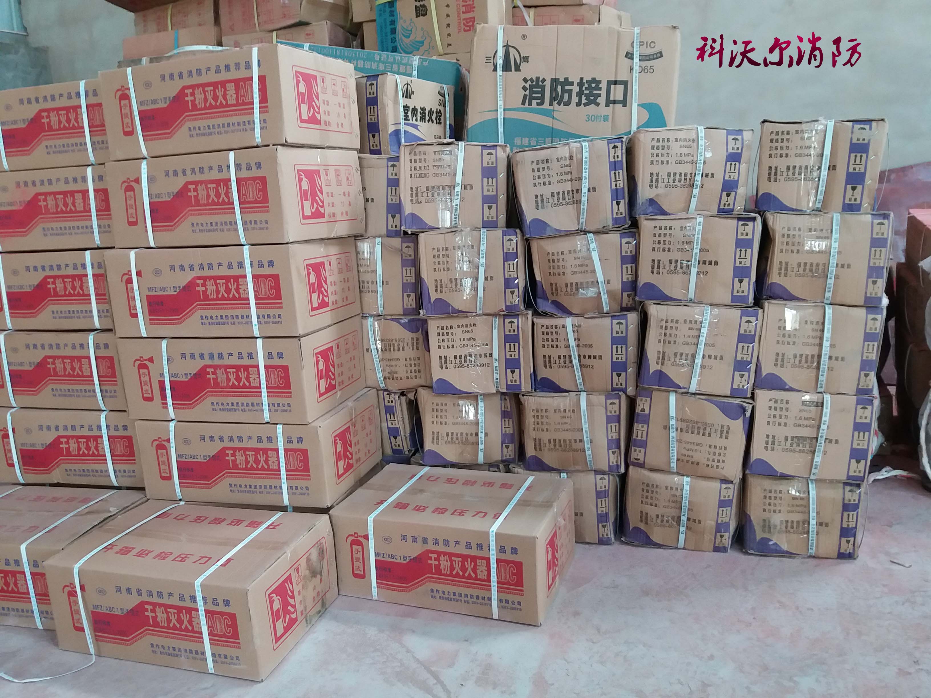 2KG干粉滅火器圖片/2KG干粉滅火器樣板圖 (2)