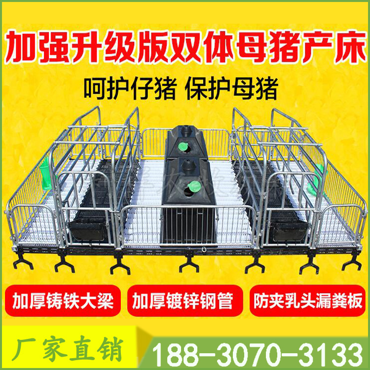 母豬產(chǎn)床圖片/母豬產(chǎn)床樣板圖 (2)