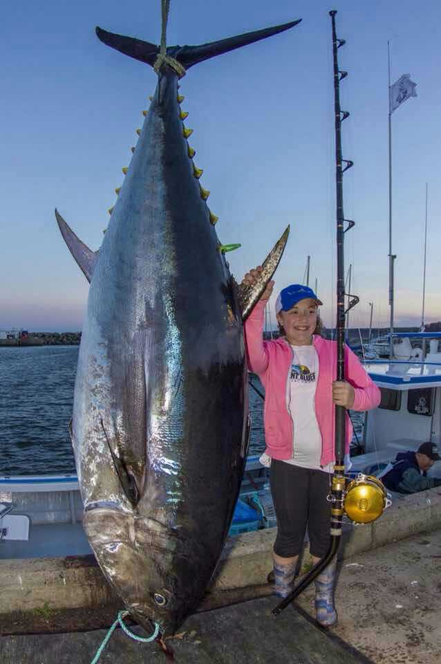 整條金槍魚批發(fā)圖片/整條金槍魚批發(fā)樣板圖 (2)