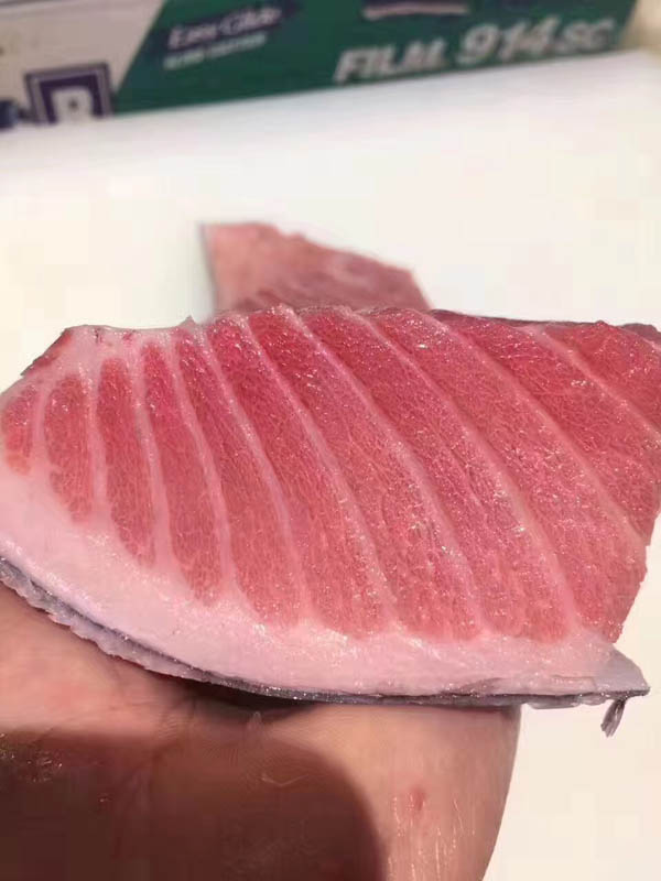 金槍魚圖片/金槍魚樣板圖 (3)