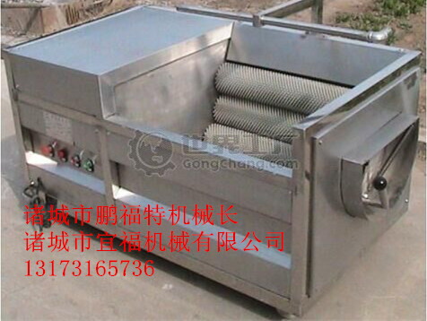 毛輥豬頭豬蹄清洗機 毛刷清洗圖片