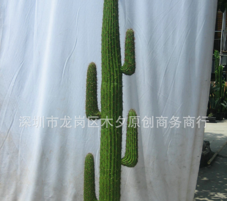 仿真植物圖片/仿真植物樣板圖 (3)