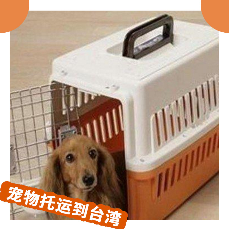 寵物托運到臺灣圖片/寵物托運到臺灣樣板圖 (3)