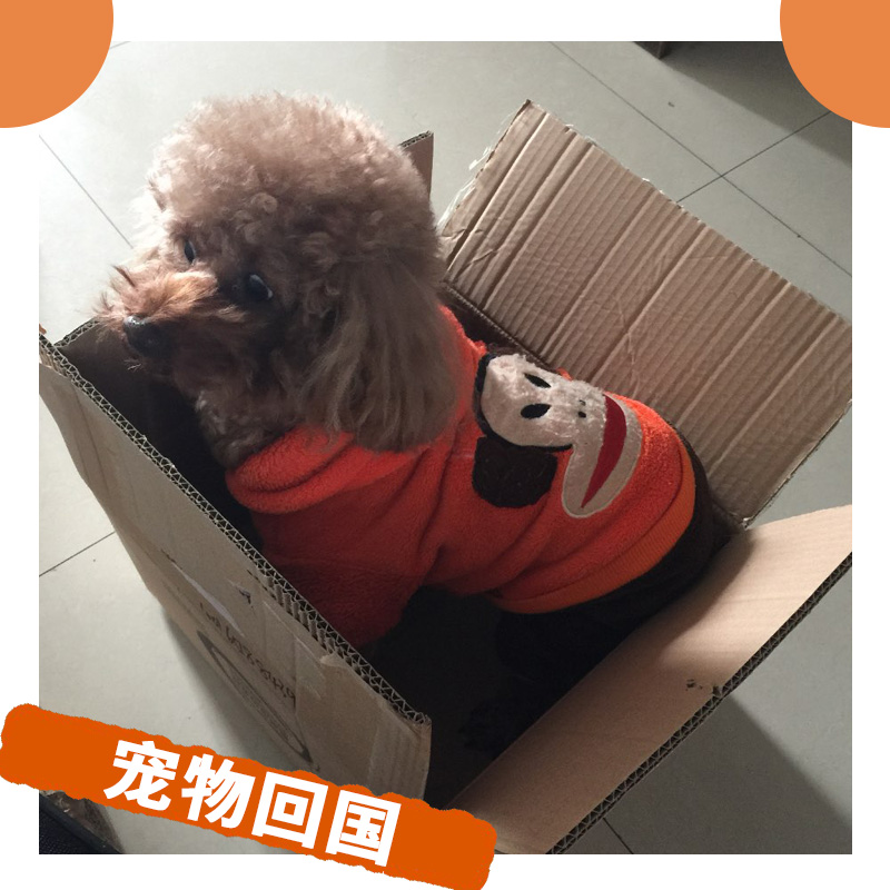 澳大利亞圖片/澳大利亞樣板圖 (1)