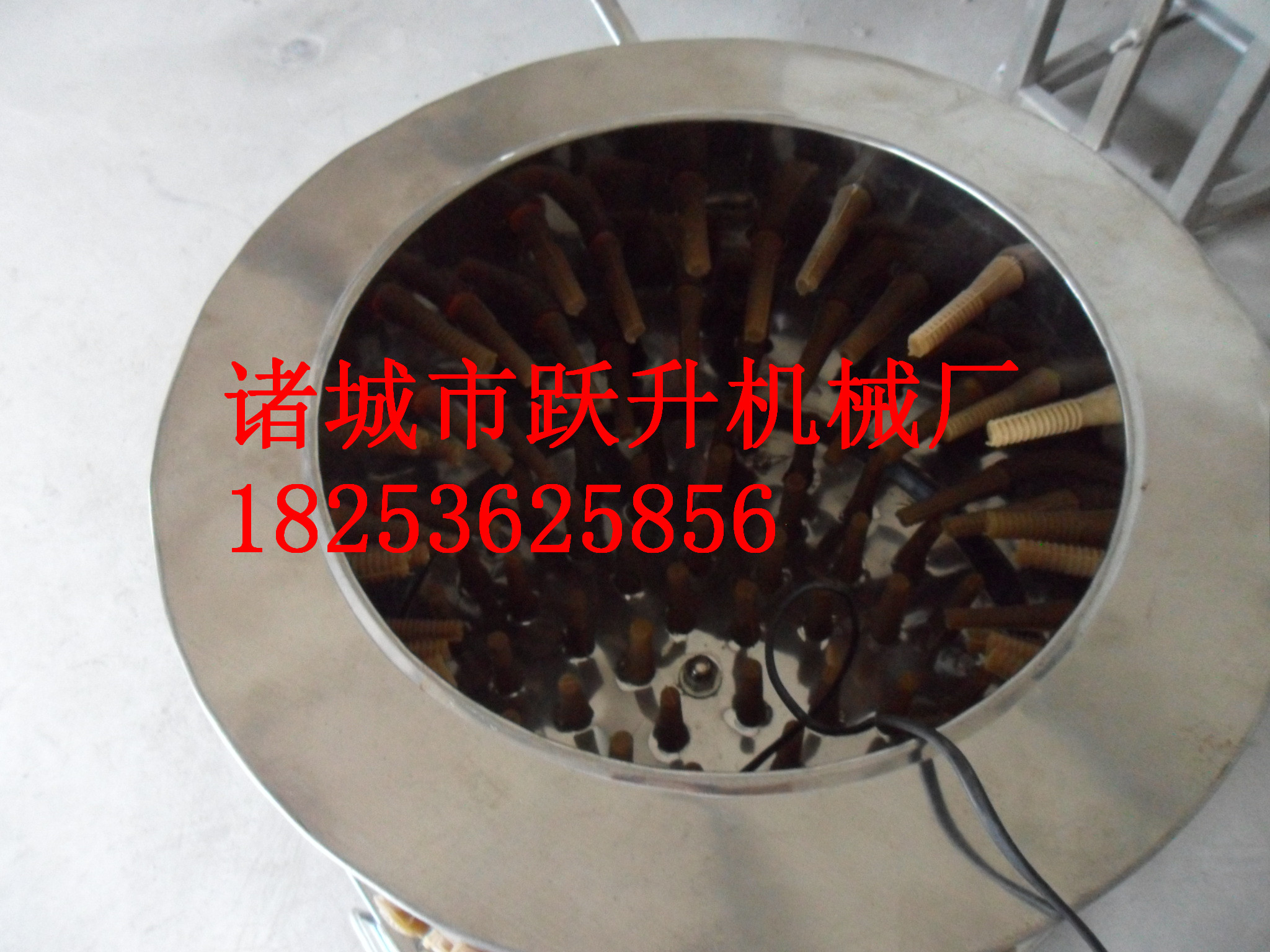 雞脫毛機(jī) 小型脫毛機(jī) 脫毛機(jī)價(jià)格 多少錢