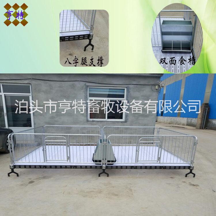 養(yǎng)豬場圖片/養(yǎng)豬場樣板圖 (1)