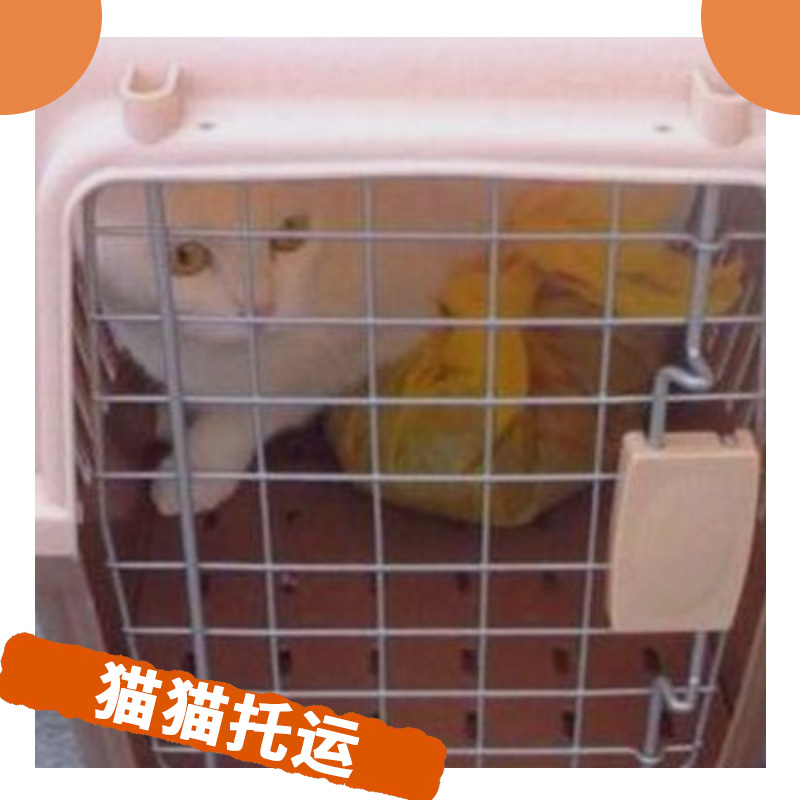深圳貓貓快遞圖片/深圳貓貓快遞樣板圖 (1)