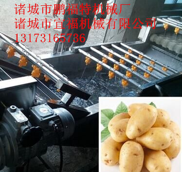 不銹鋼氣泡噴淋海產(chǎn)品清洗機(jī)圖片