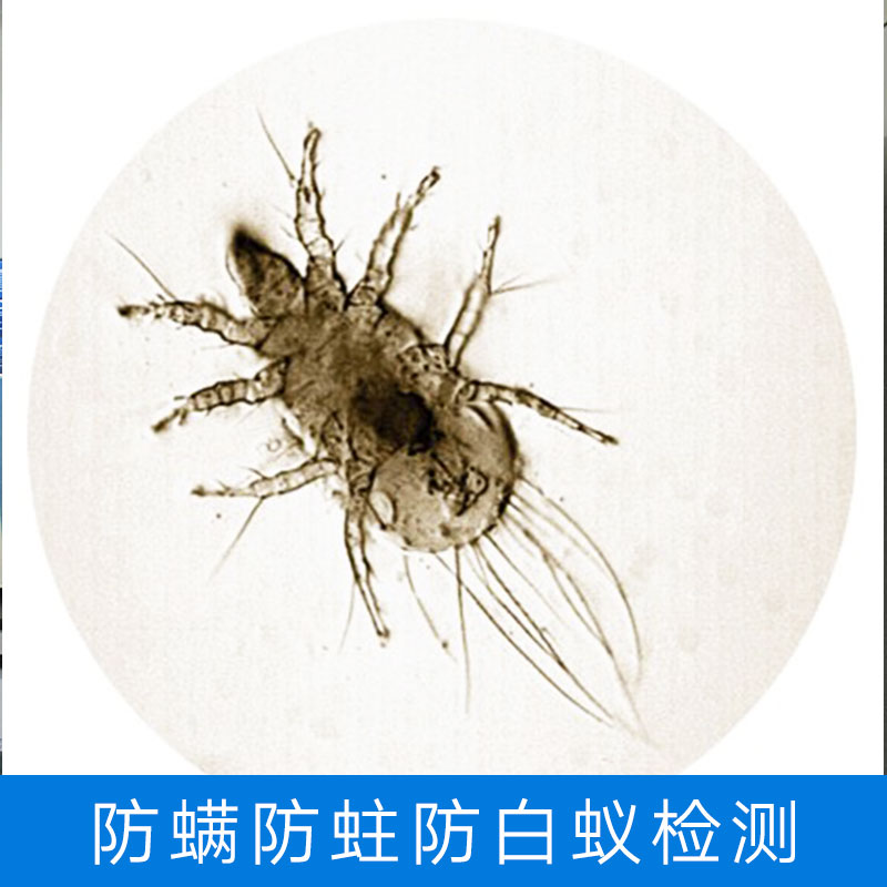 防螨防蛀防白蟻檢測(cè)圖片/防螨防蛀防白蟻檢測(cè)樣板圖 (2)