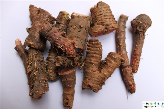 紅景天提取物圖片/紅景天提取物樣板圖 (1)