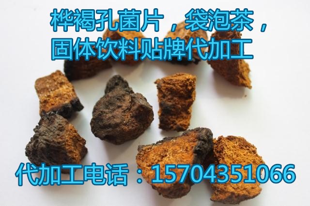 通化市桦褐孔菌桦树茸代加工厂家