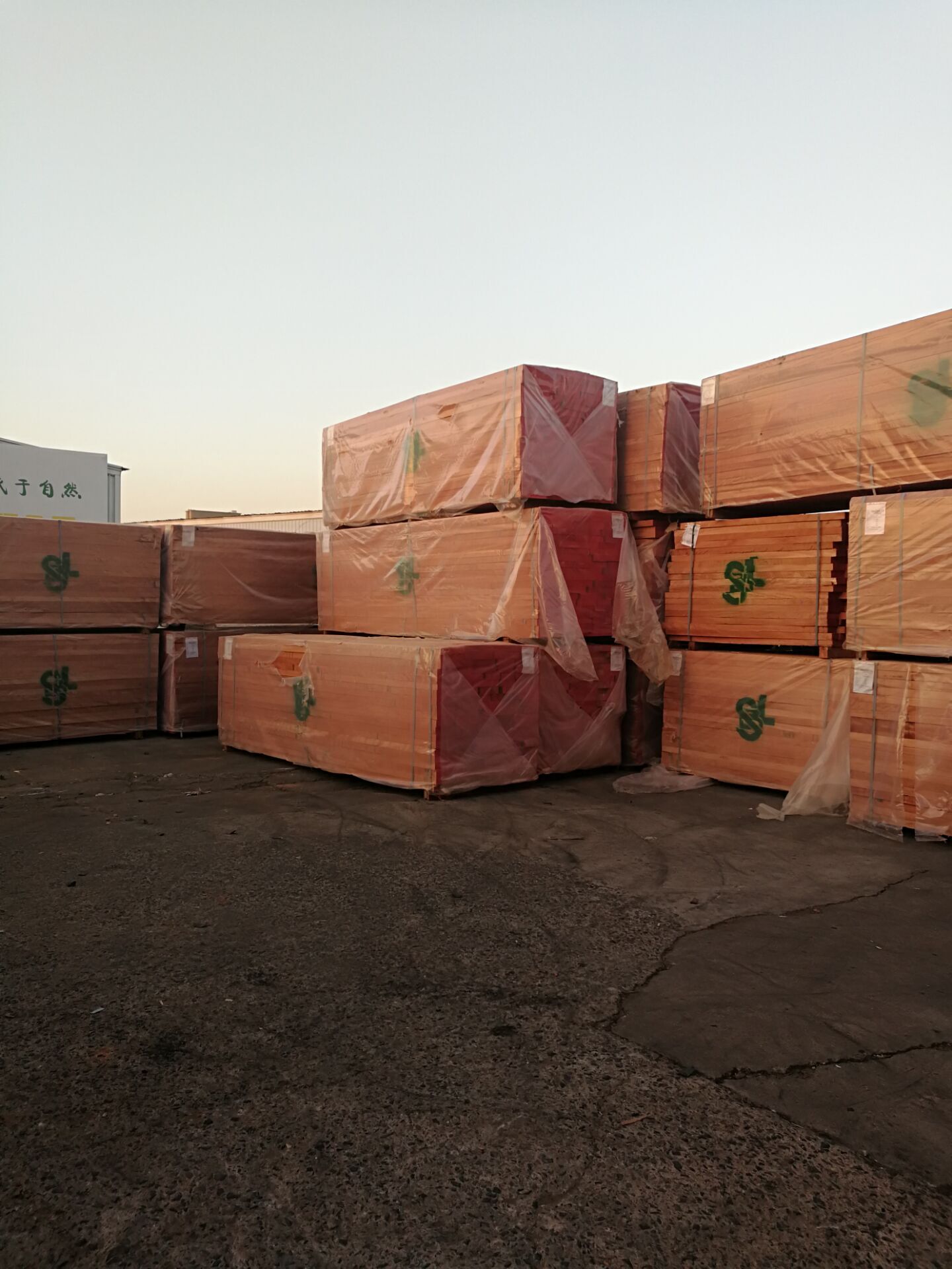 SBL新品奧古曼圖片/SBL新品奧古曼樣板圖 (4)