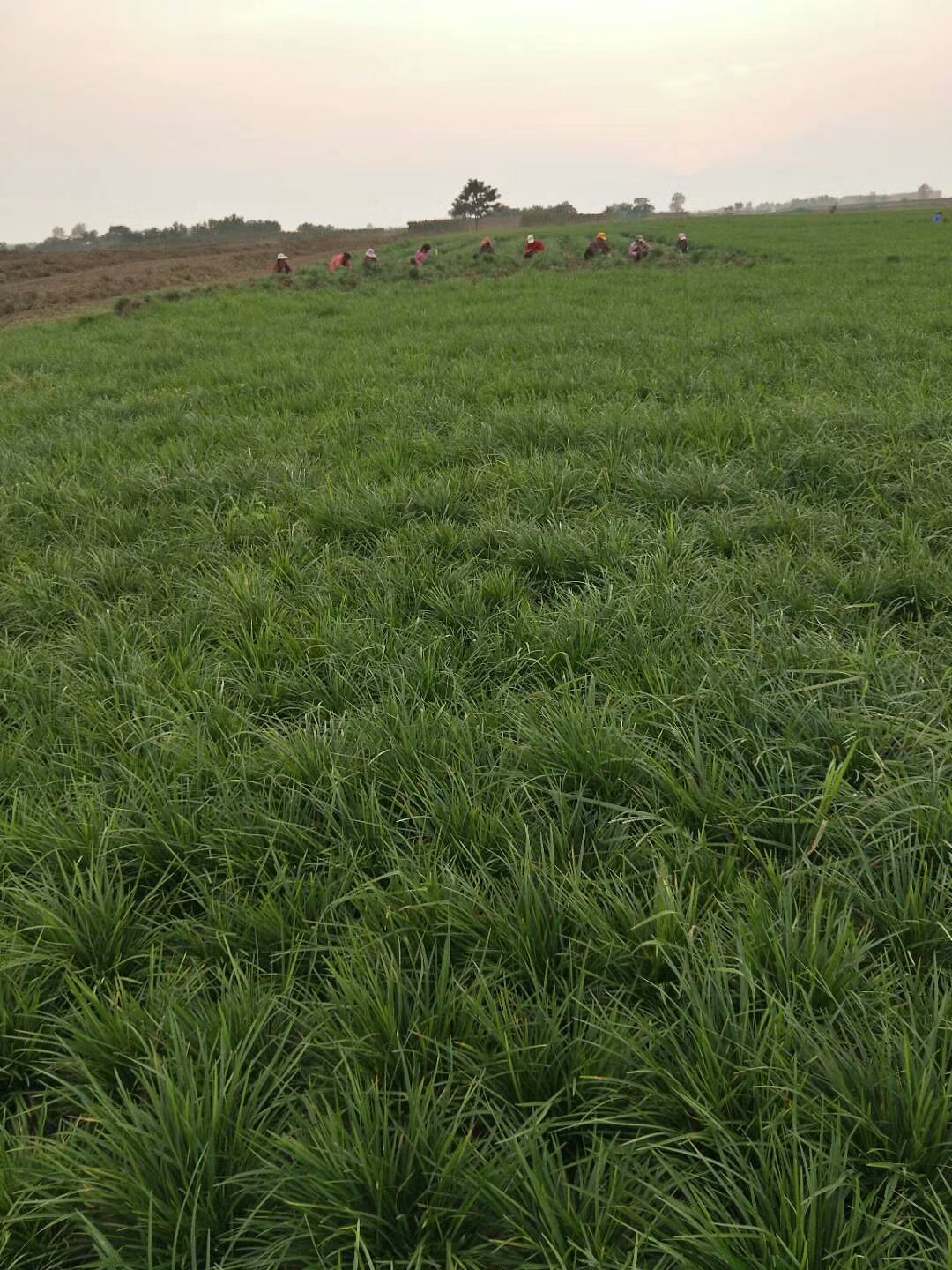 璐航之家圖片/璐航之家樣板圖 (3)