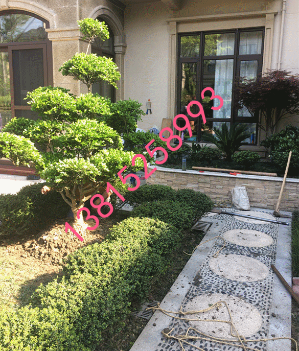 蘇州庭院綠化圖片/蘇州庭院綠化樣板圖 (1)