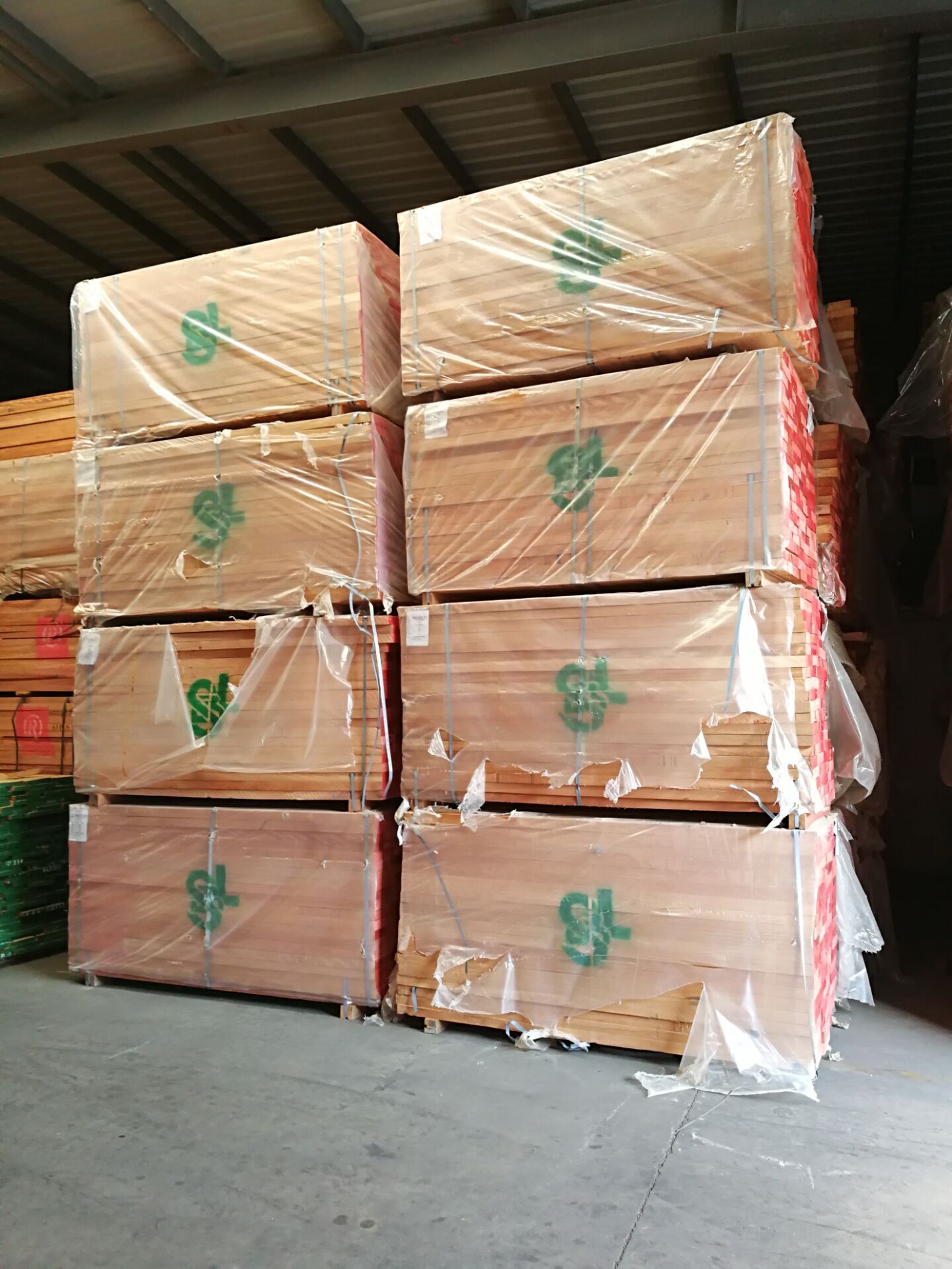 SBL新品奧古曼圖片/SBL新品奧古曼樣板圖 (2)