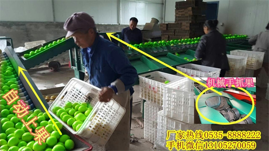哪家青棗分選機(jī)售后服務(wù)完善？圖片/哪家青棗分選機(jī)售后服務(wù)完善？樣板圖 (3)